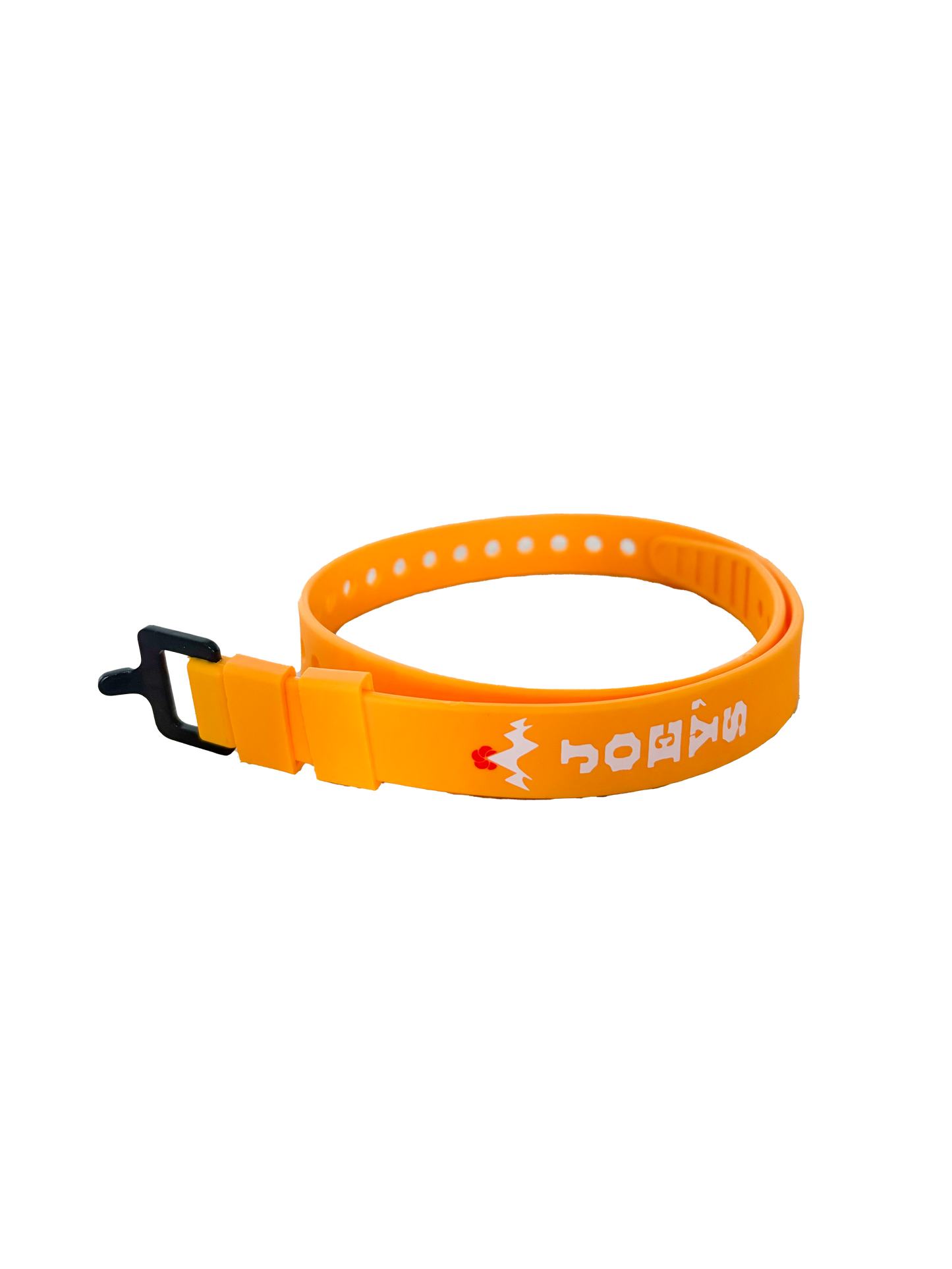 Joey’s Ski Strap